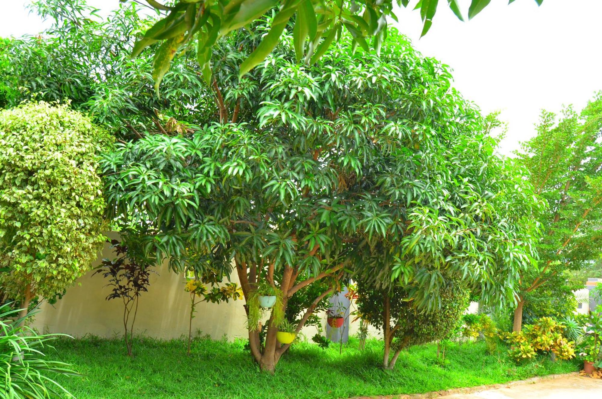 Chobe Kulotu Guest House Kasane Luaran gambar
